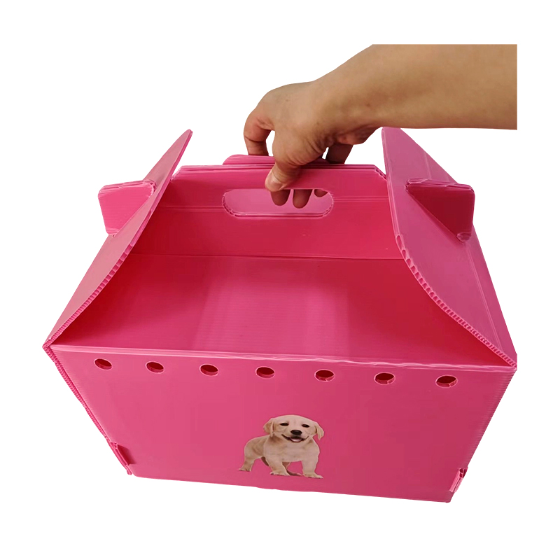 Transportador de plástico corrugado dobrável para animais de estimação com vários furos de ar