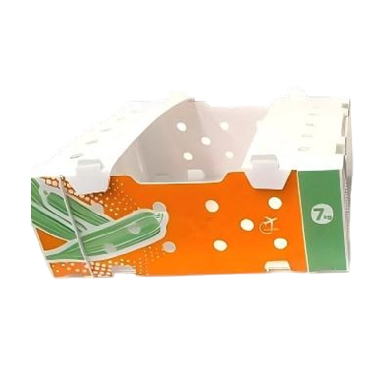Caixa de papelão ondulado PP impressa dobrável para vegetais e frutas