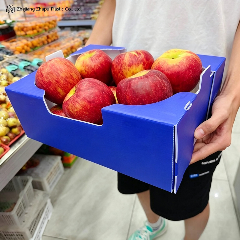 Caixa de papelão ondulado PP impressa dobrável para vegetais e frutas