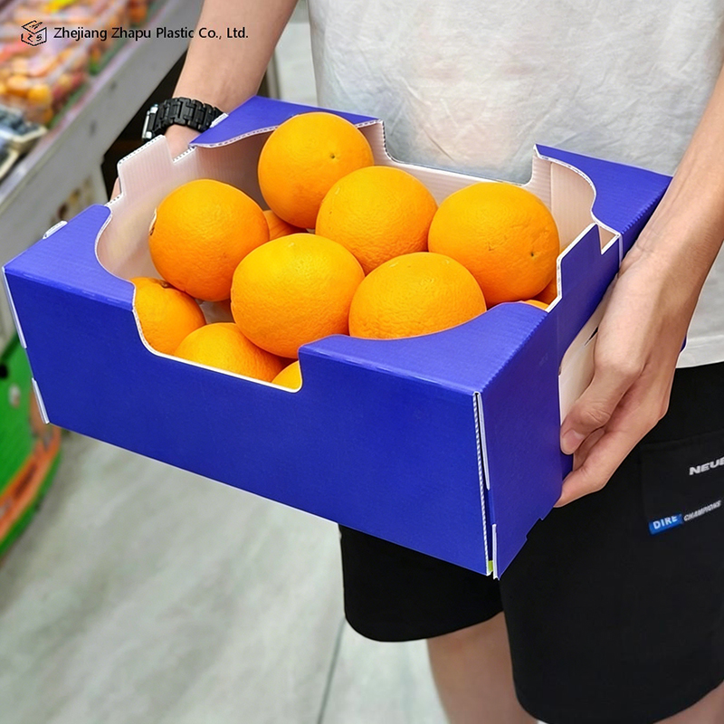Caixa de papelão ondulado PP impressa dobrável para vegetais e frutas