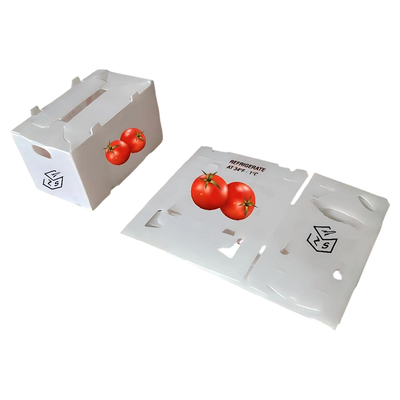 Caixa plástica ondulada impressa personalizada ventilada para frutas e vegetais em PP